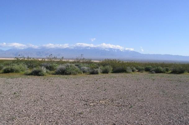 The Spring Mountains - and 11,920-foot Charleston Peak - to the northeast of the confluence, marked by an 'x'.