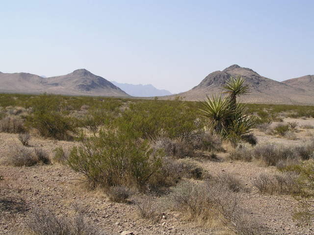 The most scenic view from this cp might be a few paces away towards the southwest into California Valley.