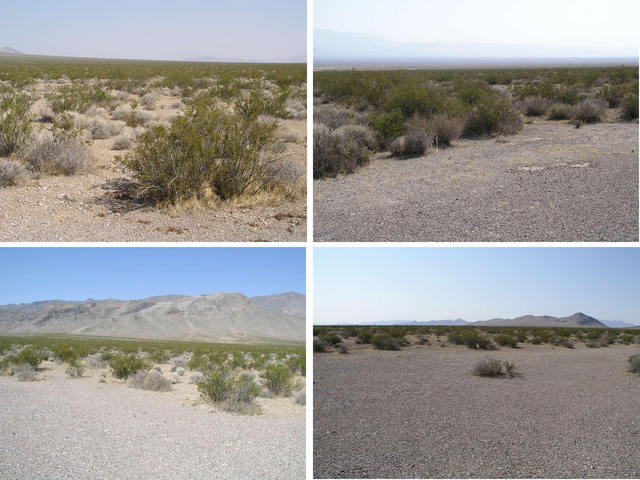 Four views:  Clockwise from the upper left, looking north, east, south, and west.