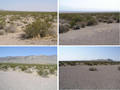 #7: Four views:  Clockwise from the upper left, looking north, east, south, and west.