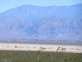 #6: View to the north from the confluence showing the playa I traversed, in sandy color.
