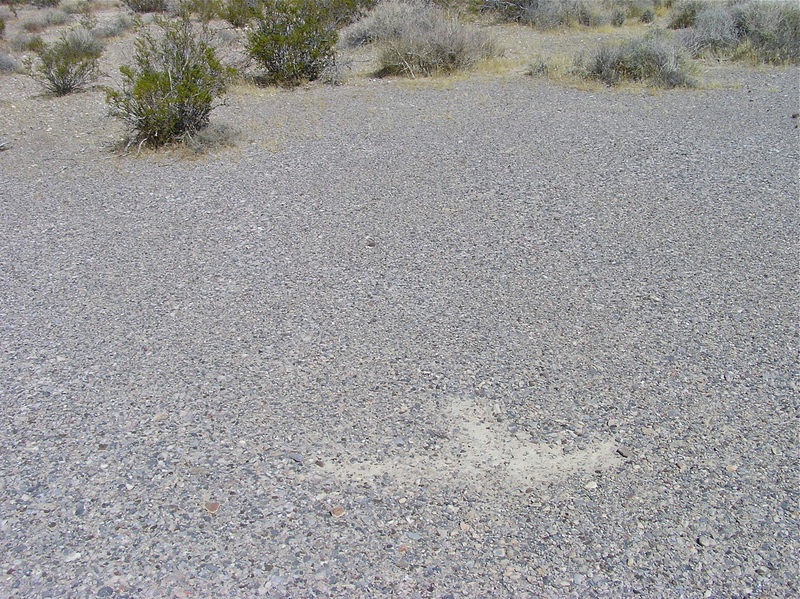 The confluence point lies within this clear gravel patch.  (A previous visitor has scraped out a mark, noting the location.)
