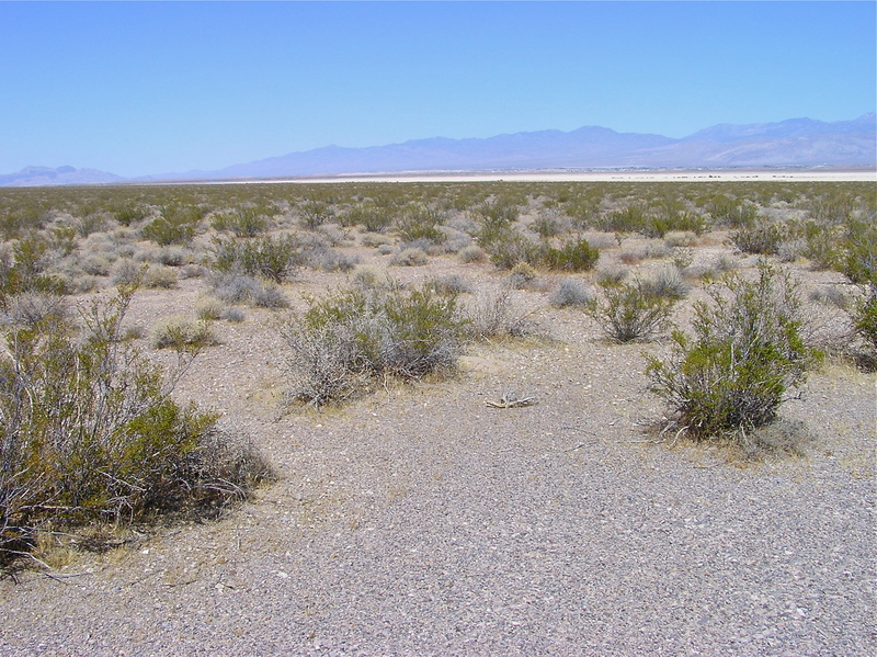 View North (across a dry lake bed, towards Pahrump)