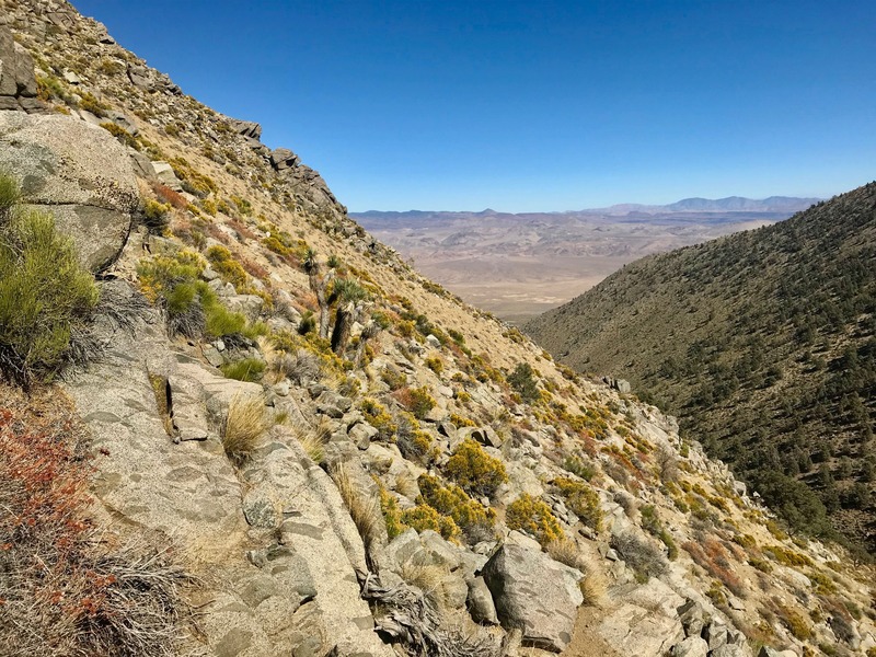 View East (down the drainage, towards US Highway 395)