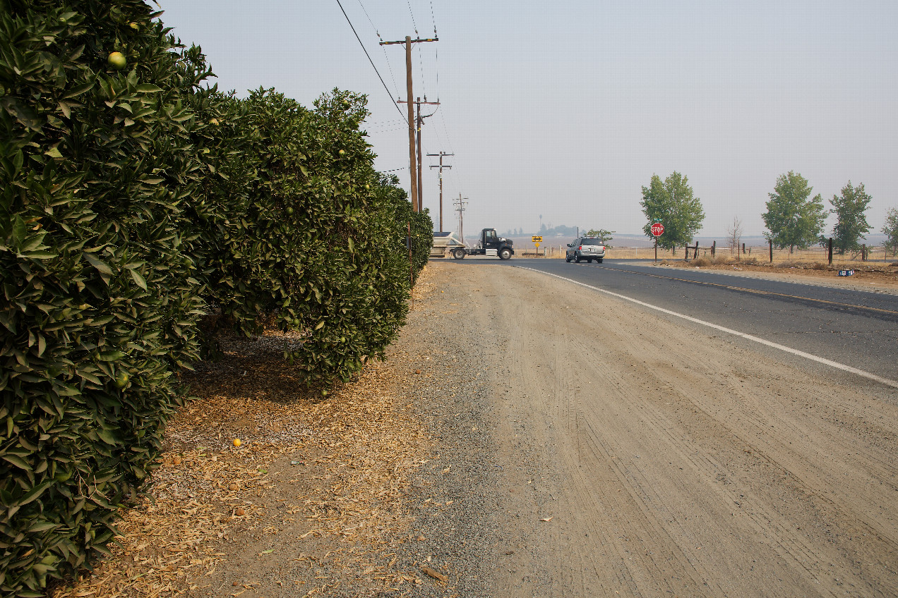 The confluence point lies next to this road, beside an orange grove.  (This is also a view to the North.)