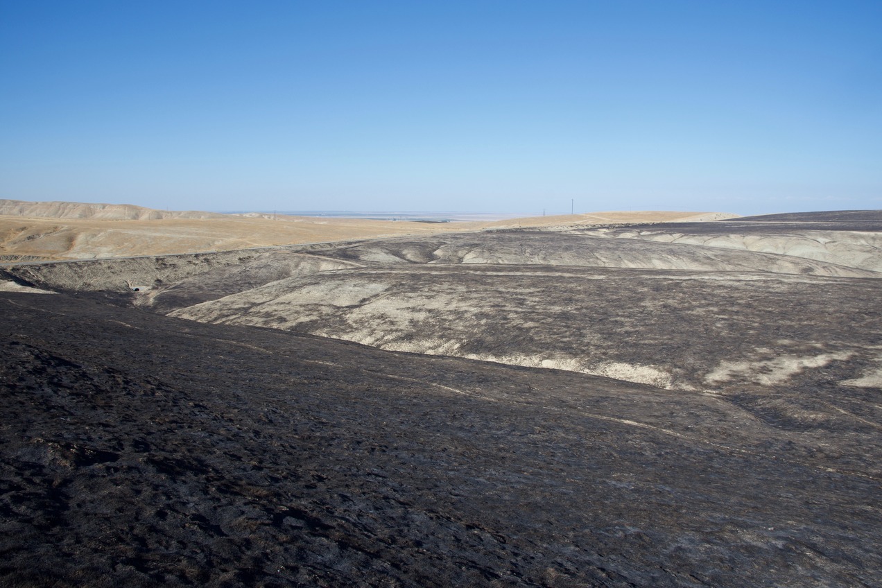 The confluence point lies on a hillside, scorched by a grass fire two months earlier.  (This is also a view to the North, towards Interstate 5 and the Central Valley.)