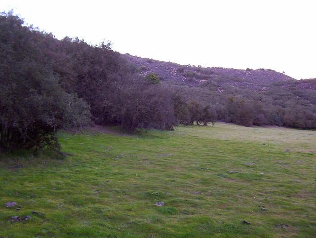Looking north from the nearby clearing.