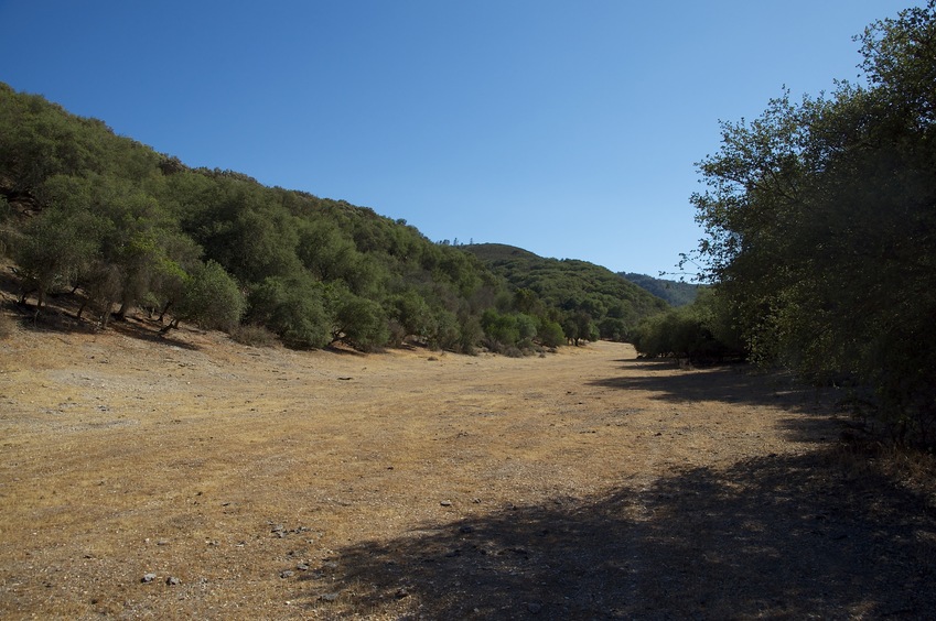 View South from the meadow, 120 feet East of the confluence point