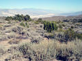 #3: Panamint Valley