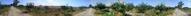 #3: 360 degree panorama taken in the area of the confluence.