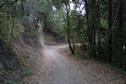 #4: This trail leads from the Green to the Confluence.