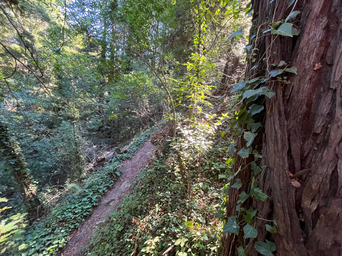 View from the confluence point, looking east