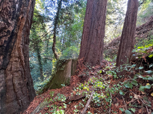 #1: The area of the confluence