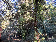 #3: View from the confluence point, looking north