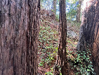 #5: View from the confluence point, looking south