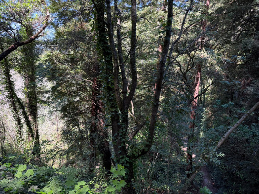 #1: View to the north