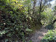 #4: View to the west