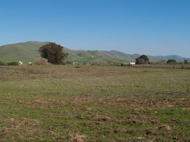 the view west - the confluence is in this field
