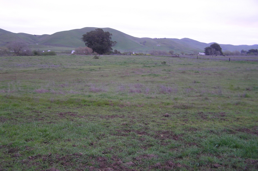 View to the east from the fence.  The confluence is in the middle of this field.