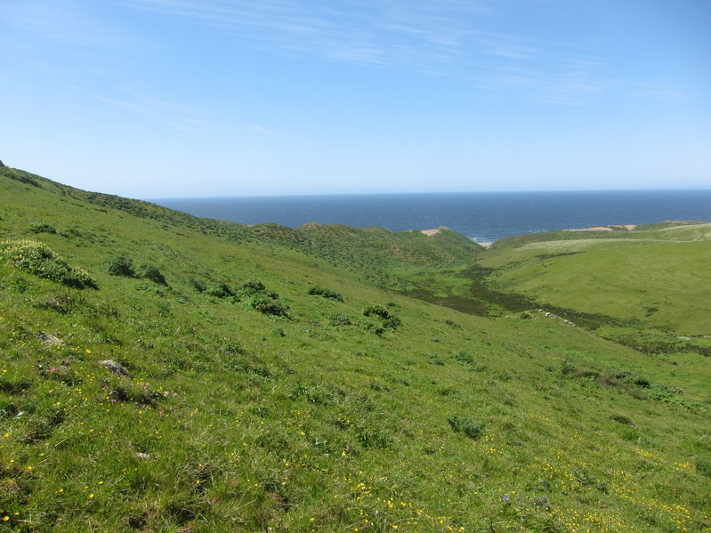 View looking west, towards the coast