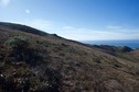 #4: View West (towards the Pacific Ocean)