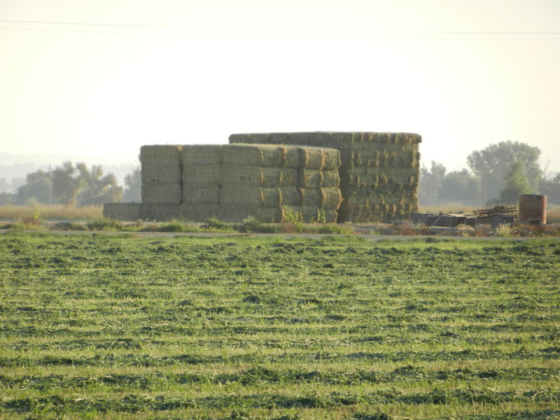 Fresh stack of hay bales from the confluence field