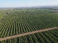 #10: View South, from 120m above the point