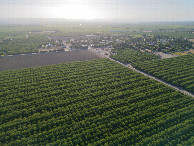 #11: View West (towards the nearby town of College City), from 120m above the point