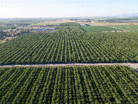 #8: View North, from 120m above the point