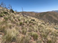 #2: View East (towards Nevada, about 0.1 miles away)