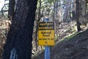 #7: A National Forest boundary sign, next to a burned tree trunk, about 300 feet from the confluence point