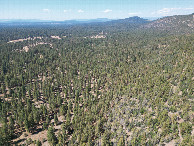#8: View North (towards Oregon, 1/4 mile away), from 120m above the point