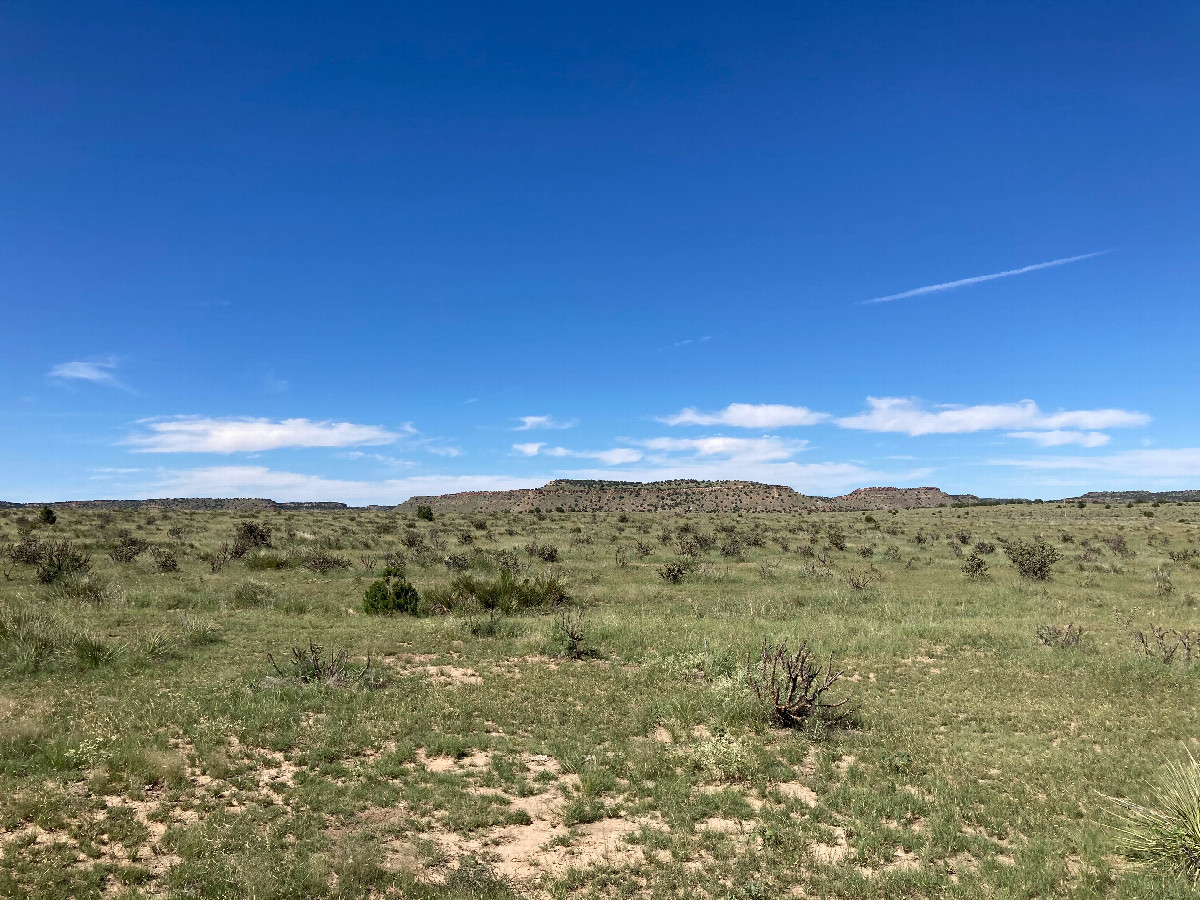 Looking north from the confluence