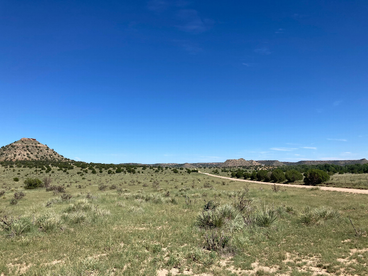 Looking east, along the access road