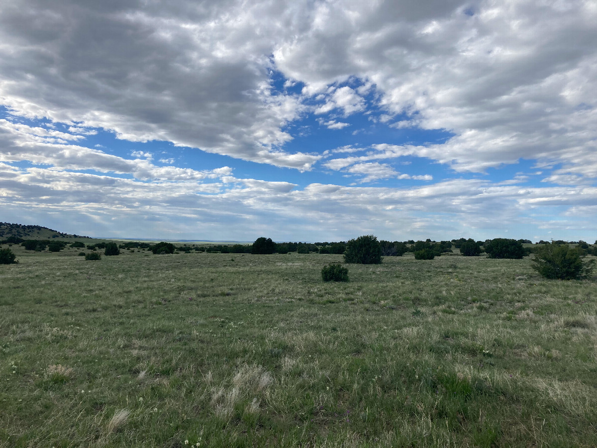 Looking north from the confluence