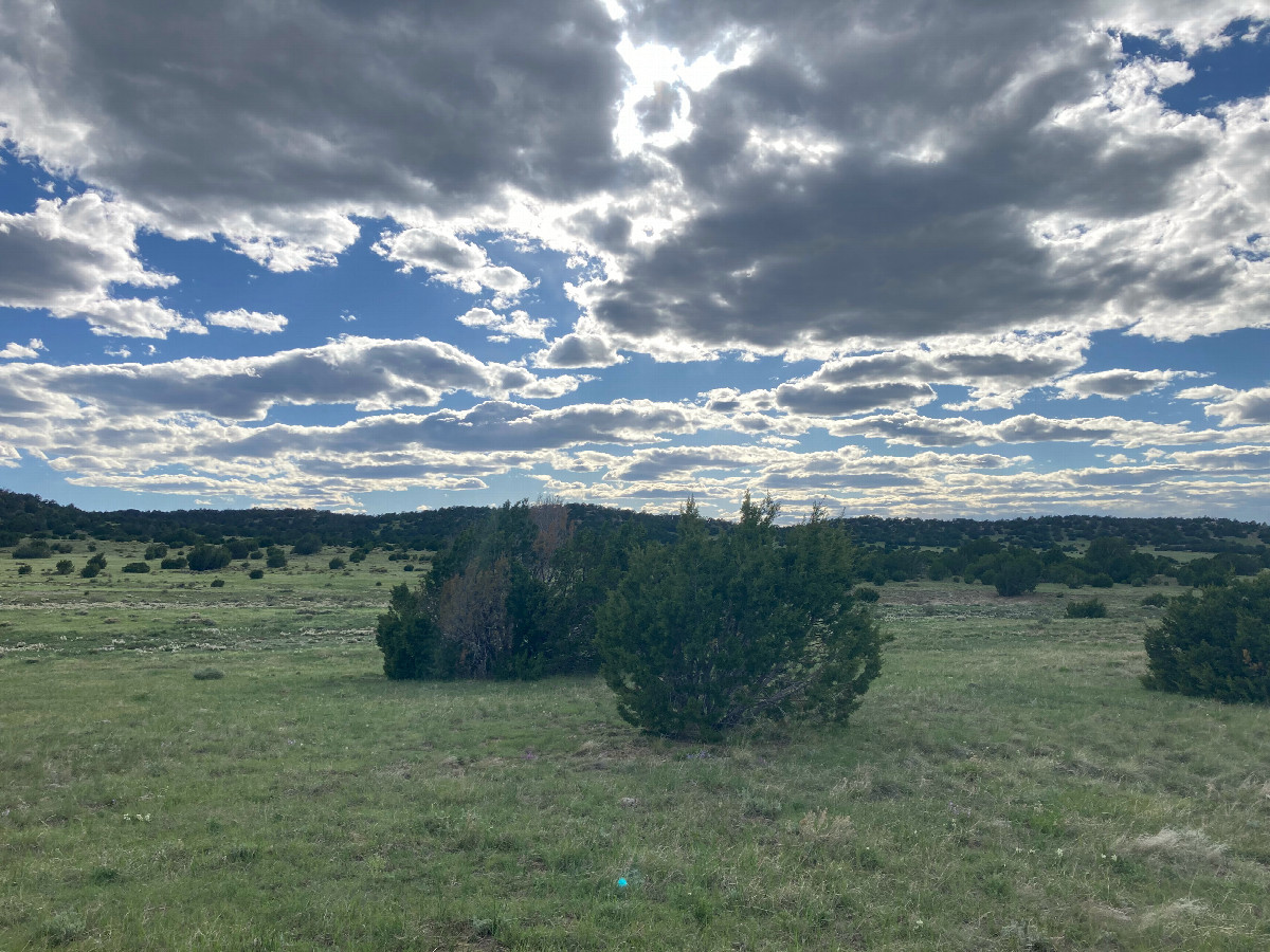 Looking west