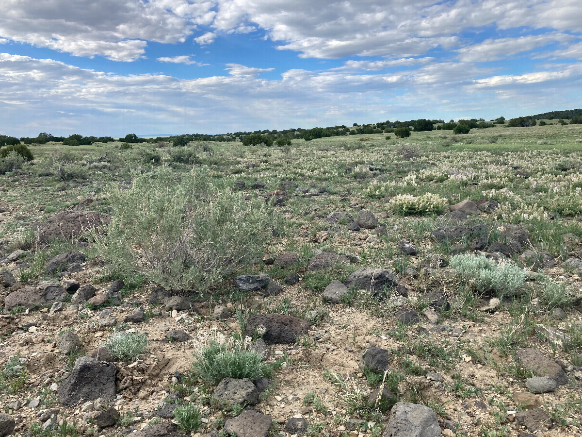 Some volcanic rocks near the confluence