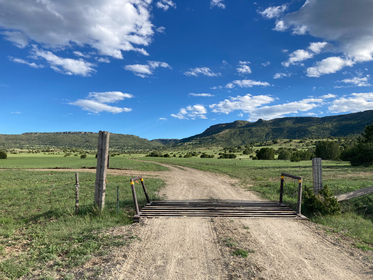 Looking south into New Mexico (on the other side of the cattle guard)