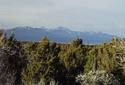 #3: looking north to the LaSal Mountains near Moab, Utah