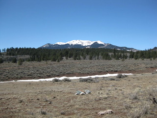 #1: View of the confluence cairn looking west.