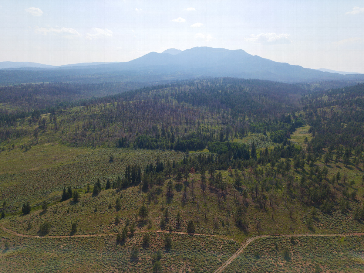 View West (towards the Buffalo Peaks), from 120m above the point