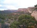 #5: Kings Canyon 2 mi. east of the confluence on canyon rim