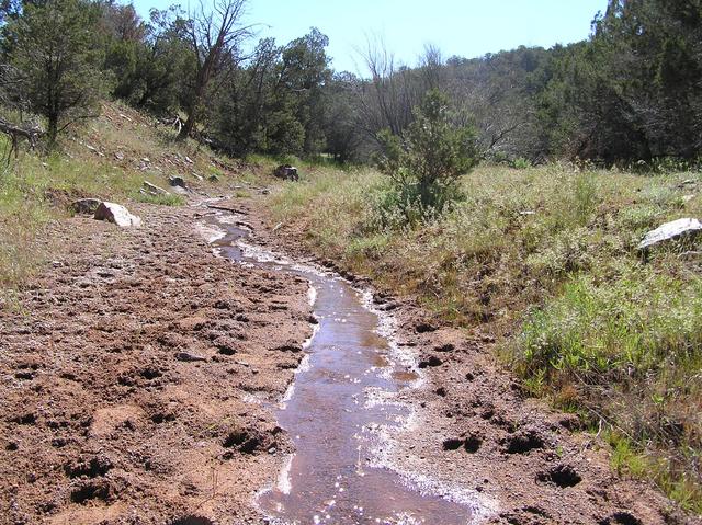 Water in canyon, 200 meters west of the confluence, looking east.
