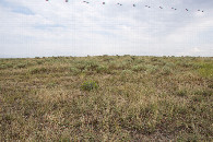 #2: View East