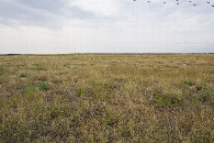#4: View West