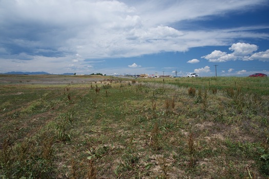 #1: The confluence point lies in an open field, next to Colorado State Highway 7.  (This is also a view to the West, towards the Rocky Mountains.)
