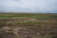 #4: View South.  (How long will this field remain undeveloped?)
