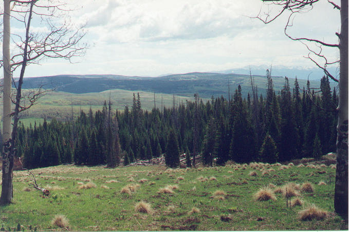 View to the southeast from the nearby clearing
