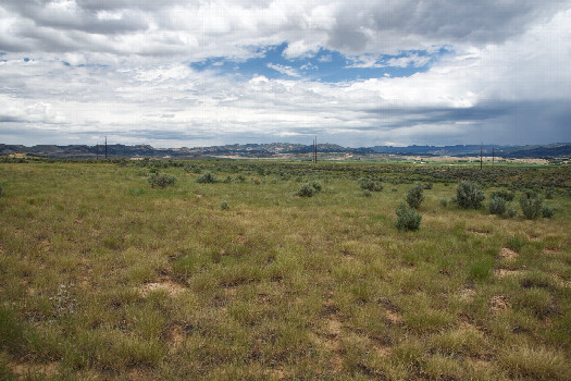 #1: The confluence point lies in a flat area of ranchland.  (This is also a view to the North.)