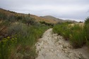 #9: Cottonwood Creek was completely dry during my visit